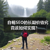 白帽SEO的长期价值究竟该如何实现？（图4）