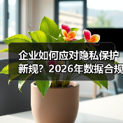 企业如何应对隐私保护新规?2026年数据合规关键趋势全解析(图4) 企业如何应对隐私保护新规?2026年数据合规关键趋势全解析(图4)