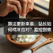 算法更新来袭,站长如何精准应对?监控到恢复全攻略(图2) 算法更新来袭,站长如何精准应对?监控到恢复全攻略(图2)