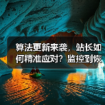 算法更新来袭,站长如何精准应对?监控到恢复全攻略(图3) 算法更新来袭,站长如何精准应对?监控到恢复全攻略(图3)