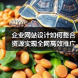 企业网站设计如何整合资源实现全网高效推广?(图2) 企业网站设计如何整合资源实现全网高效推广?(图2)