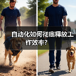 自动化如何彻底释放工作效率?(图2) 自动化如何彻底释放工作效率?(图2)