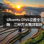 Ubuntu DNS设置全攻略:三种方法高效解析(图3) Ubuntu DNS设置全攻略:三种方法高效解析(图3)