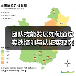 团队技能发展如何通过实战培训与认证实现突破？ - 推荐阅读文章