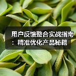 用户反馈整合实战指南：精准优化产品秘籍 - 推荐阅读文章