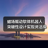 磁场驱动软体机器人：突破性设计实现灵活操控，医疗应用前景广阔（图2）