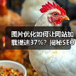 图片优化如何让网站加载提速37%?揭秘SEO实战技巧(图3) 图片优化如何让网站加载提速37%?揭秘SEO实战技巧(图3)