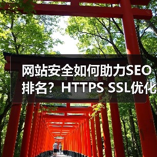 网站安全如何助力SEO排名?HTTPS SSL优化全解析(图1) 网站安全如何助力SEO排名?HTTPS SSL优化全解析(图1)