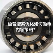 语音搜索优化如何颠覆内容策略?(图4) 语音搜索优化如何颠覆内容策略?(图4)