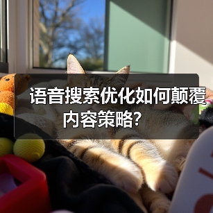 语音搜索优化如何颠覆内容策略?(图3) 语音搜索优化如何颠覆内容策略?(图3)