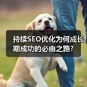 持续SEO优化为何成长期成功的必由之路?(图3) 持续SEO优化为何成长期成功的必由之路?(图3)