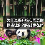为什么提升核心网页指标能让你的网站赢在体验?(图4) 为什么提升核心网页指标能让你的网站赢在体验?(图4)