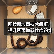 图片懒加载技术解析:提升网页加载速度的实战指南(图4) 图片懒加载技术解析:提升网页加载速度的实战指南(图4)