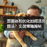 页面体验优化如何适应算法？实战策略揭秘 - 推荐阅读文章