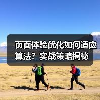 页面体验优化如何适应算法?实战策略揭秘(图4) 页面体验优化如何适应算法?实战策略揭秘(图4)