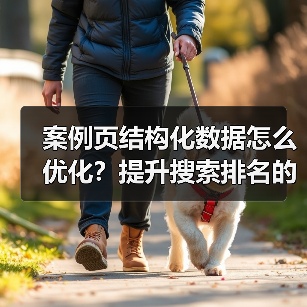案例页结构化数据怎么优化？提升搜索排名的实战技巧（图3）