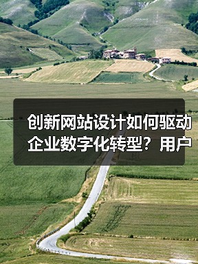 创新网站设计如何驱动企业数字化转型?用户体验优化为核心(图2) 创新网站设计如何驱动企业数字化转型?用户体验优化为核心(图2)