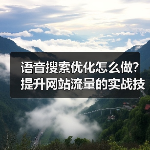 语音搜索优化怎么做?提升网站流量的实战技巧(图4) 语音搜索优化怎么做?提升网站流量的实战技巧(图4)