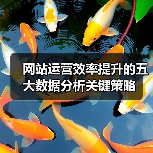 网站运营效率提升的五大数据分析关键策略 - 推荐阅读文章