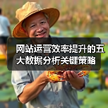 网站运营效率提升的五大数据分析关键策略(图3) 网站运营效率提升的五大数据分析关键策略(图3)