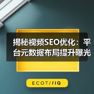 揭秘视频SEO优化：平台元数据布局提升曝光排名（图3）