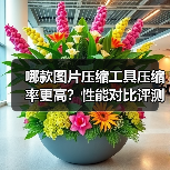 哪款图片压缩工具压缩率更高?性能对比评测(图2) 哪款图片压缩工具压缩率更高?性能对比评测(图2)