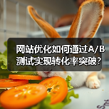 网站优化如何通过A/B测试实现转化率突破?(图4) 网站优化如何通过A/B测试实现转化率突破?(图4)