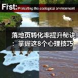 落地页转化率提升秘诀：掌握这8个心理技巧！ - 推荐阅读文章
