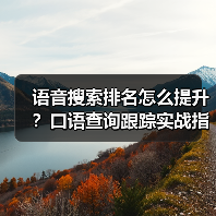 语音搜索排名怎么提升?口语查询跟踪实战指南(图4) 语音搜索排名怎么提升?口语查询跟踪实战指南(图4)