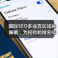 国际SEO多语言区域化策略:为何你的排名停滞不前?(图3) 国际SEO多语言区域化策略:为何你的排名停滞不前?(图3)