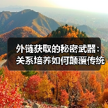 外链获取的秘密武器：关系培养如何颠覆传统策略？ - 推荐阅读文章