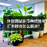 外贸网站多币种结算与汇率转换怎么解决?(图4) 外贸网站多币种结算与汇率转换怎么解决?(图4)