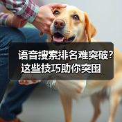 语音搜索排名难突破？这些技巧助你突围 - 推荐阅读文章