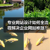 专业网站设计如何全流程解决企业网站难题?(图2) 专业网站设计如何全流程解决企业网站难题?(图2)