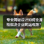 专业网站设计如何全流程解决企业网站难题?(图1) 专业网站设计如何全流程解决企业网站难题?(图1)