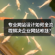 专业网站设计如何全流程解决企业网站难题?(图3) 专业网站设计如何全流程解决企业网站难题?(图3)
