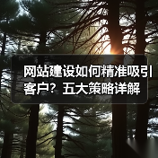 网站建设如何精准吸引客户？五大策略详解 - 推荐阅读文章