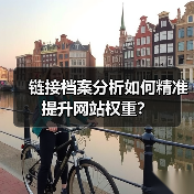 链接档案分析如何精准提升网站权重?(图2) 链接档案分析如何精准提升网站权重?(图2)