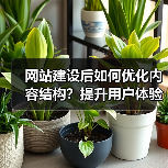 网站建设后如何优化内容结构?提升用户体验和SEO排名的实用技巧(图3) 网站建设后如何优化内容结构?提升用户体验和SEO排名的实用技巧(图3)