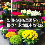 如何精准衡量国际SEO指标?多地区本地化效果全解析(图3) 如何精准衡量国际SEO指标?多地区本地化效果全解析(图3)