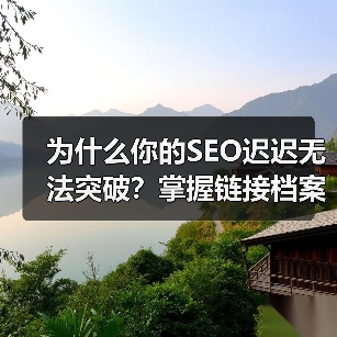 为什么你的SEO迟迟无法突破?掌握链接档案分析的真正方法!(图1) 为什么你的SEO迟迟无法突破?掌握链接档案分析的真正方法!(图1)