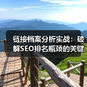 链接档案分析实战:破解SEO排名瓶颈的关键策略(图3) 链接档案分析实战:破解SEO排名瓶颈的关键策略(图3)