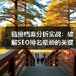 链接档案分析实战:破解SEO排名瓶颈的关键策略(图4) 链接档案分析实战:破解SEO排名瓶颈的关键策略(图4)