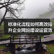 标准化流程如何高效提升企业网站建设运营效率？（图2）