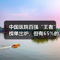中国医院百强“王者”榜单出炉,但有65%的医院信息化还是“青铜”水平(图4) 中国医院百强“王者”榜单出炉,但有65%的医院信息化还是“青铜”水平(图4)