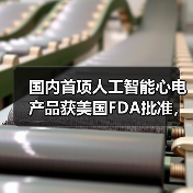 国内首项人工智能心电产品获美国FDA批准,究竟花落谁家?(图3) 国内首项人工智能心电产品获美国FDA批准,究竟花落谁家?(图3)