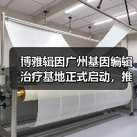 博雅辑因广州基因编辑治疗基地正式启动，推动β地中海贫血治疗进 - 推荐阅读文章