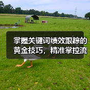 掌握关键词绩效跟踪的黄金技巧,精准掌控流量转化率(图2) 掌握关键词绩效跟踪的黄金技巧,精准掌控流量转化率(图2)