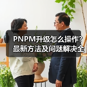 PNPM升级怎么操作？最新方法及问题解决全攻略（图2）
