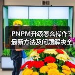 PNPM升级怎么操作？最新方法及问题解决全攻略 - 推荐阅读文章